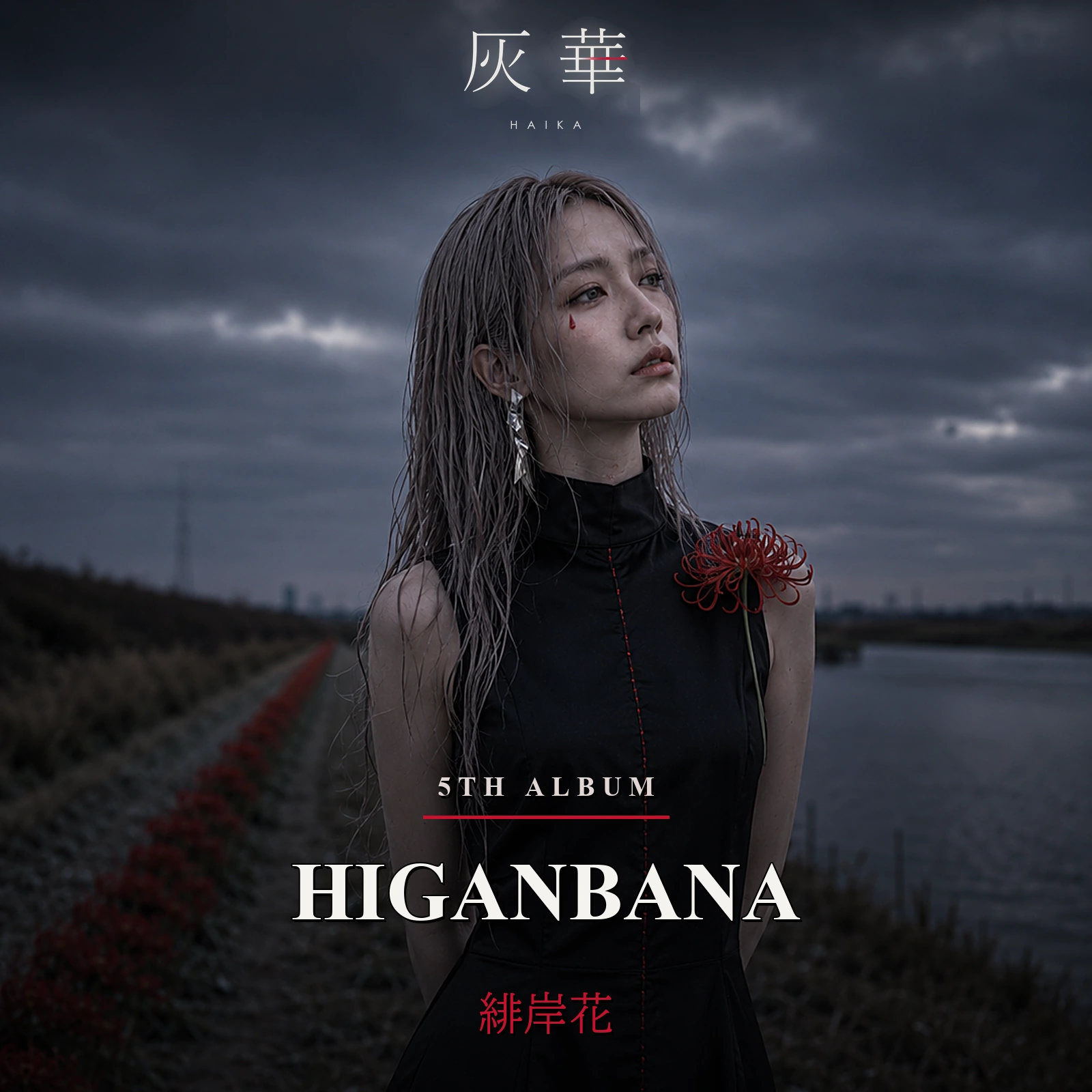5th Album 緋岸花 -HIGANBANA- ジャケット